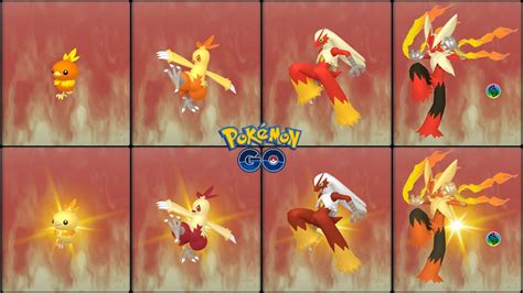 blaziken build|blaziken evolution.